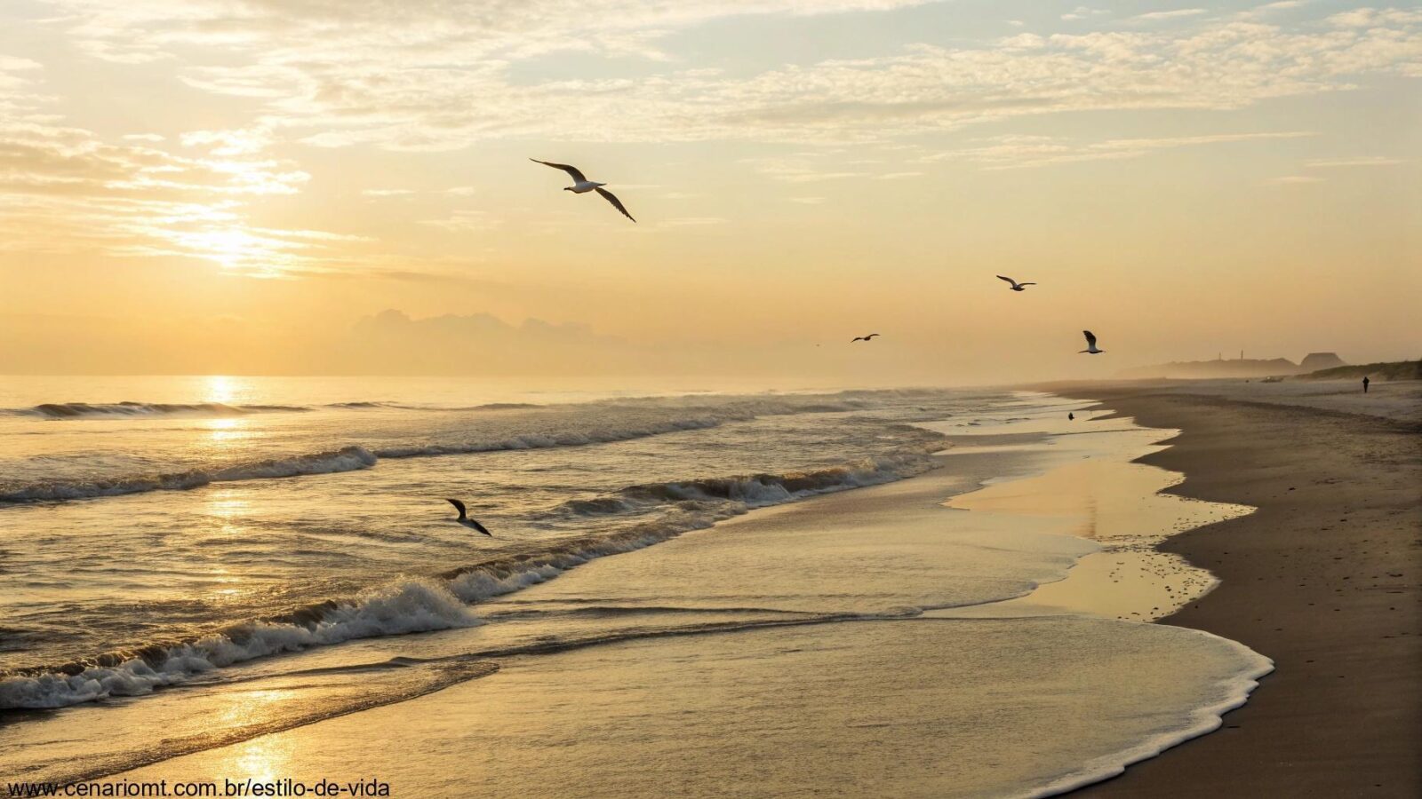 Um amanhecer tranquilo sobre uma praia calma com luz dourada suave e ondas gentis na orla.