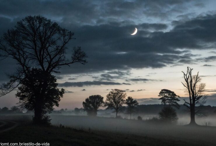 Céu noturno com uma lua minguante em um cenário tranquilo e silencioso.