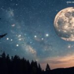Fase da Lua Hoje: Segunda-Feira, 31 de Março de 2025