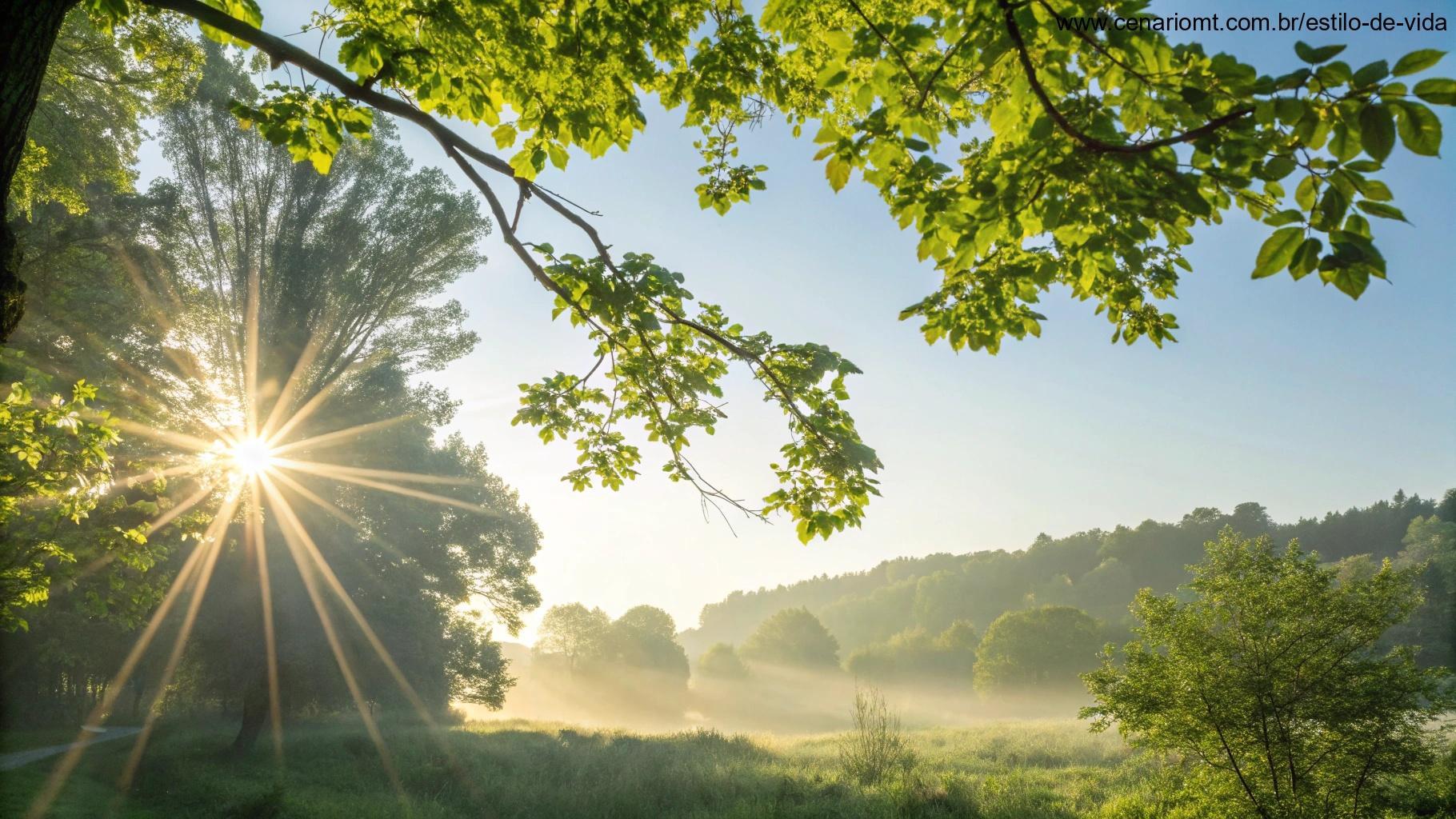 Uma manhã alegre e luminosa com raios de sol filtrando entre as folhas de uma árvore, evocando positividade e alegria para uma saudação de domingo.
