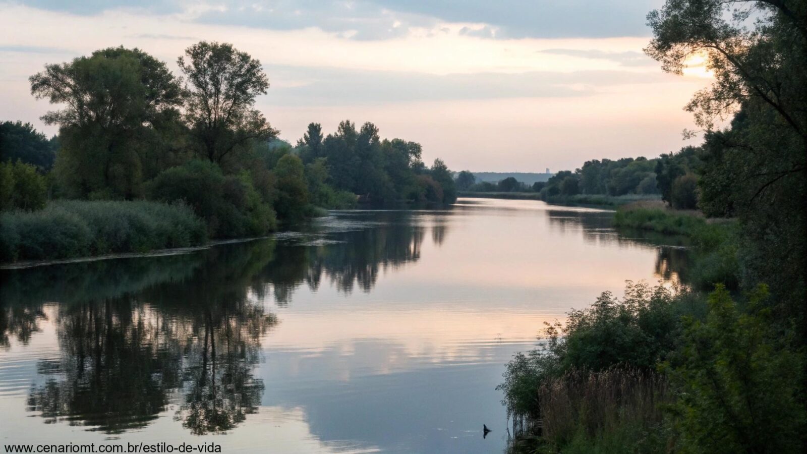 Reflexão e oração diária para sexta-feira, 7 de março de 2025, com imagens serenas e pacíficas da natureza e um ambiente de oração.