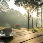 Cena tranquila de manhã com luz suave filtrando pelas árvores, uma xícara de café descansando em uma mesa com uma atmosfera positiva e espiritual para uma manhã abençoada de sexta-feira.