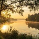 Nascer do sol tranquilo sobre um lago calmo com luz dourada suave entre as árvores