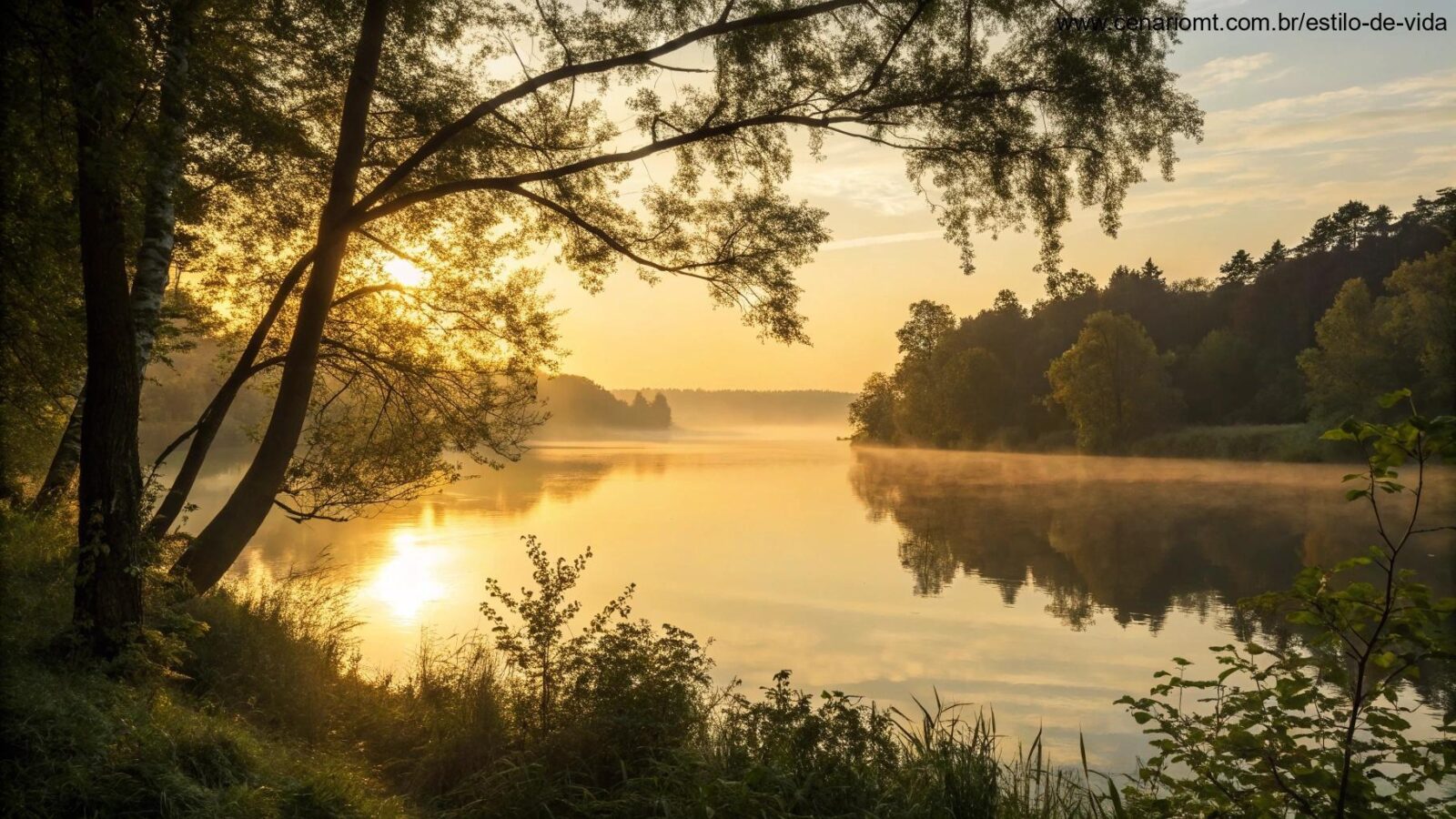 Nascer do sol tranquilo sobre um lago calmo com luz dourada suave entre as árvores