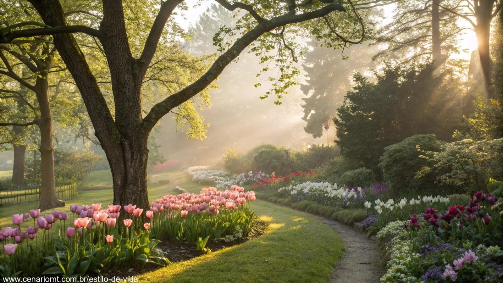 Cena matinal tranquila com luz suave filtrando pelas árvores e flores no jardim.