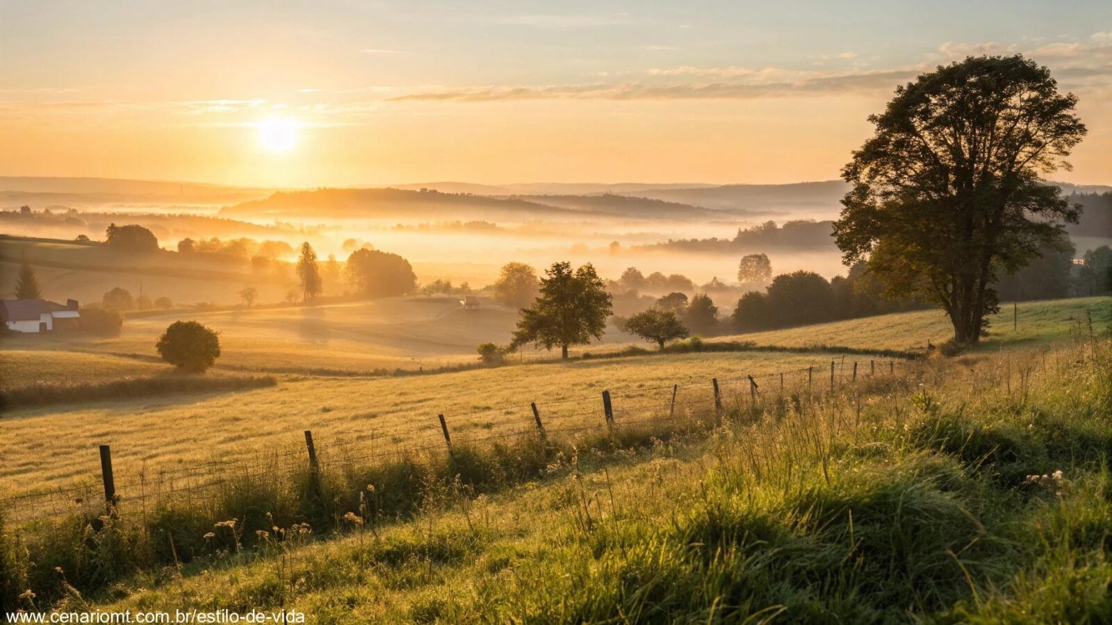 Paisagem serena com um amanhecer dourado sobre um campo tranquilo.