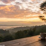 Cena tranquila de amanhecer com xícara de café e vista da natureza.