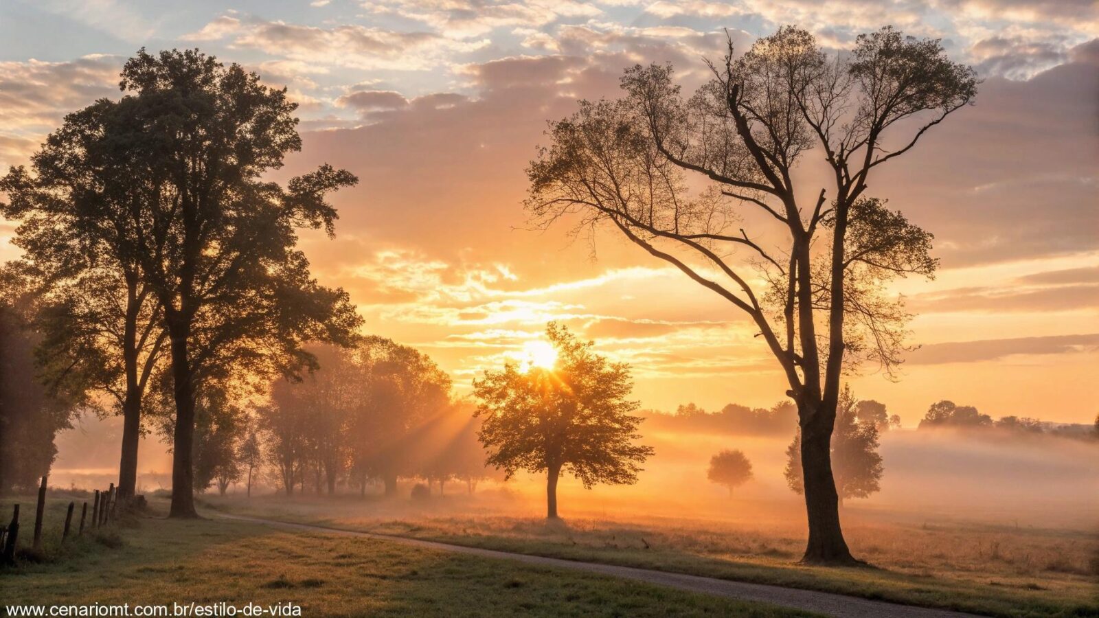 Imagem de uma paisagem tranquila de manhã com o sol nascente, simbolizando esperança e fé.