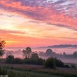 Imagem tranquila e inspiradora de um amanhecer com cores suaves, simbolizando o início de um novo dia na sexta-feira, 28 de março de 2025.