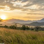 Paisagem tranquila de manhã com o sol nascendo atrás das montanhas, tons dourados suaves no céu.