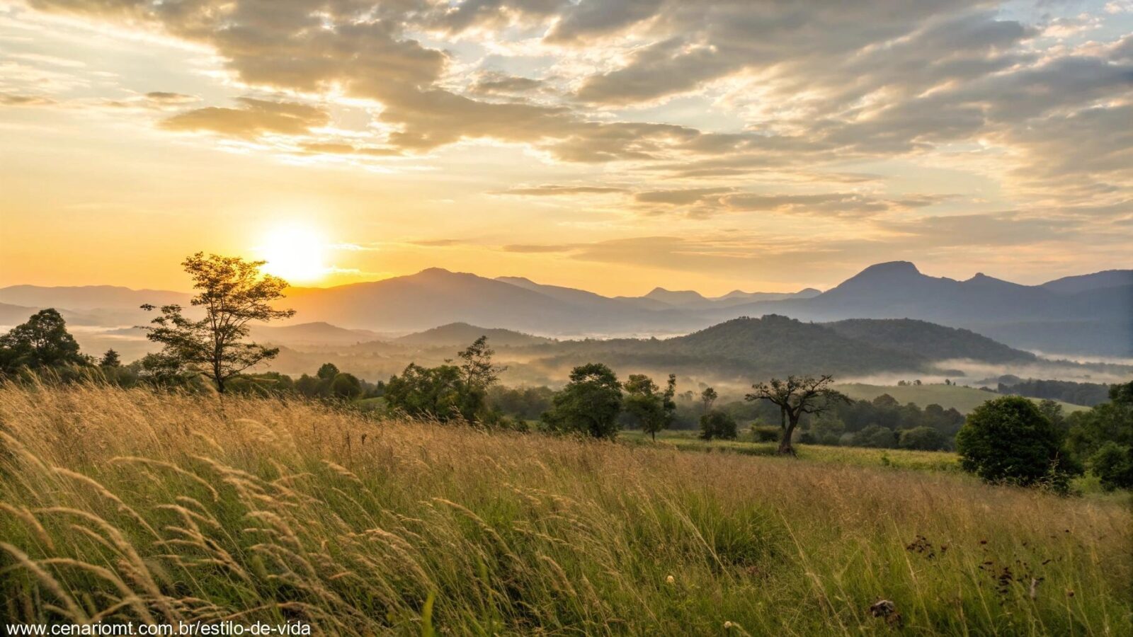 Paisagem tranquila de manhã com o sol nascendo atrás das montanhas, tons dourados suaves no céu.