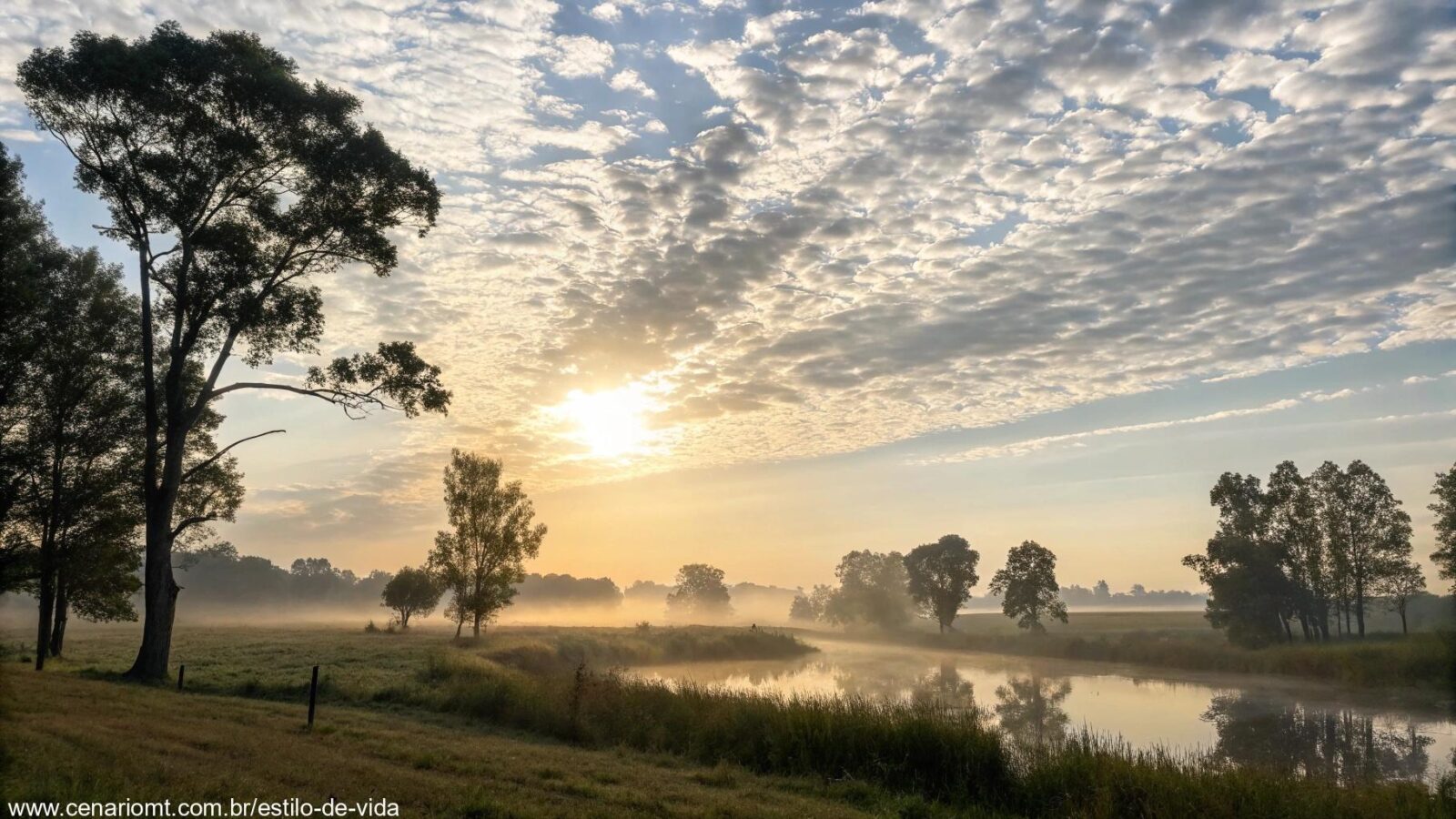 Cena serena e tranquila de uma manhã, com o sol nascendo sobre uma paisagem calma, nuvens leves e uma brisa suave.