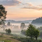 Paisagem tranquila e serena ao amanhecer, com luz suave filtrando através das árvores.