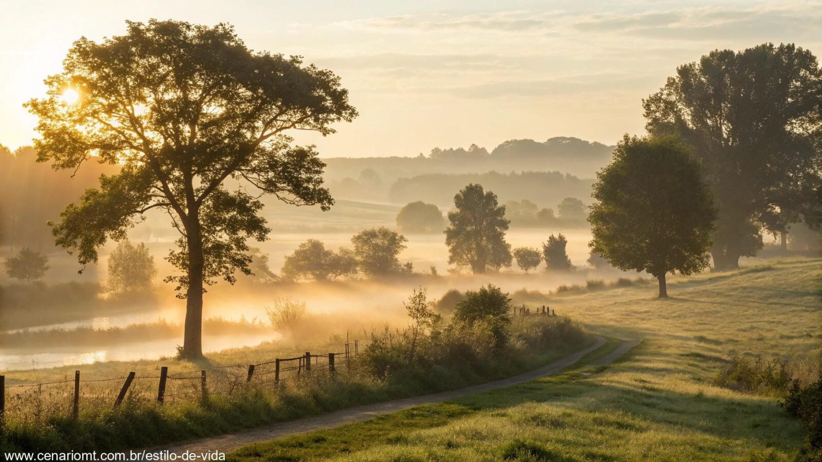Paisagem serena com luz dourada ao amanhecer, transmitindo reflexão.