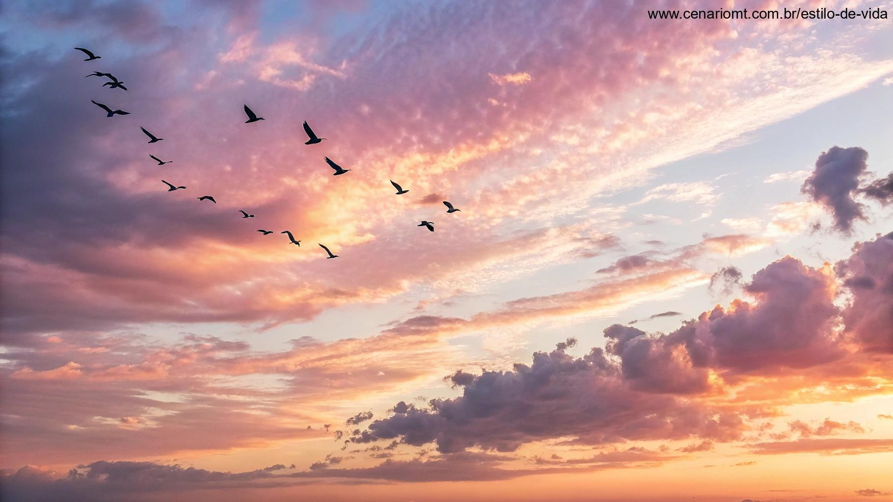 Céu vibrante ao nascer do sol com nuvens suaves em tons pastéis e pássaros voando, transmitindo esperança e inspiração.