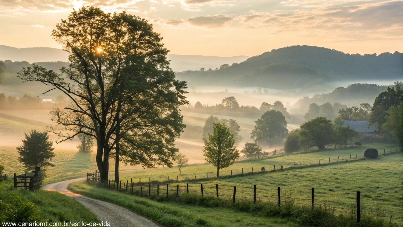 Paisagem serena e tranquila no campo ao amanhecer, refletindo uma sensação de força e calma.