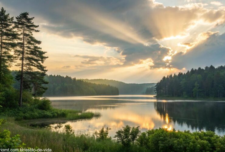 Paisagem serena ao amanhecer, com raios suaves de luz quebrando as nuvens sobre um lago tranquilo cercado por florestas verdes.