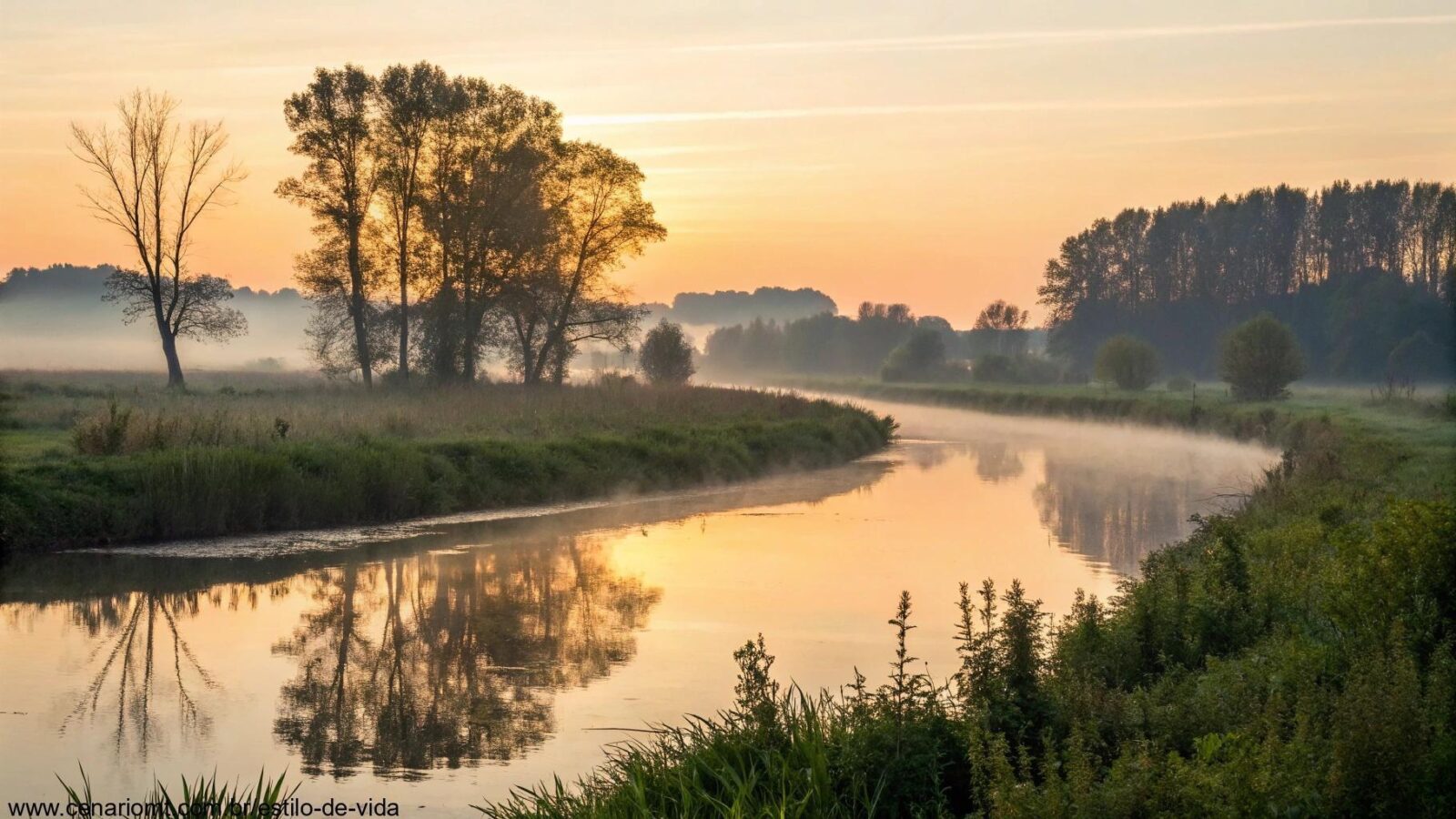 Paisagem serena e tranquila ao amanhecer, com luz suave iluminando um rio calmo e árvores ao fundo, simbolizando reflexão e oração para um novo dia.