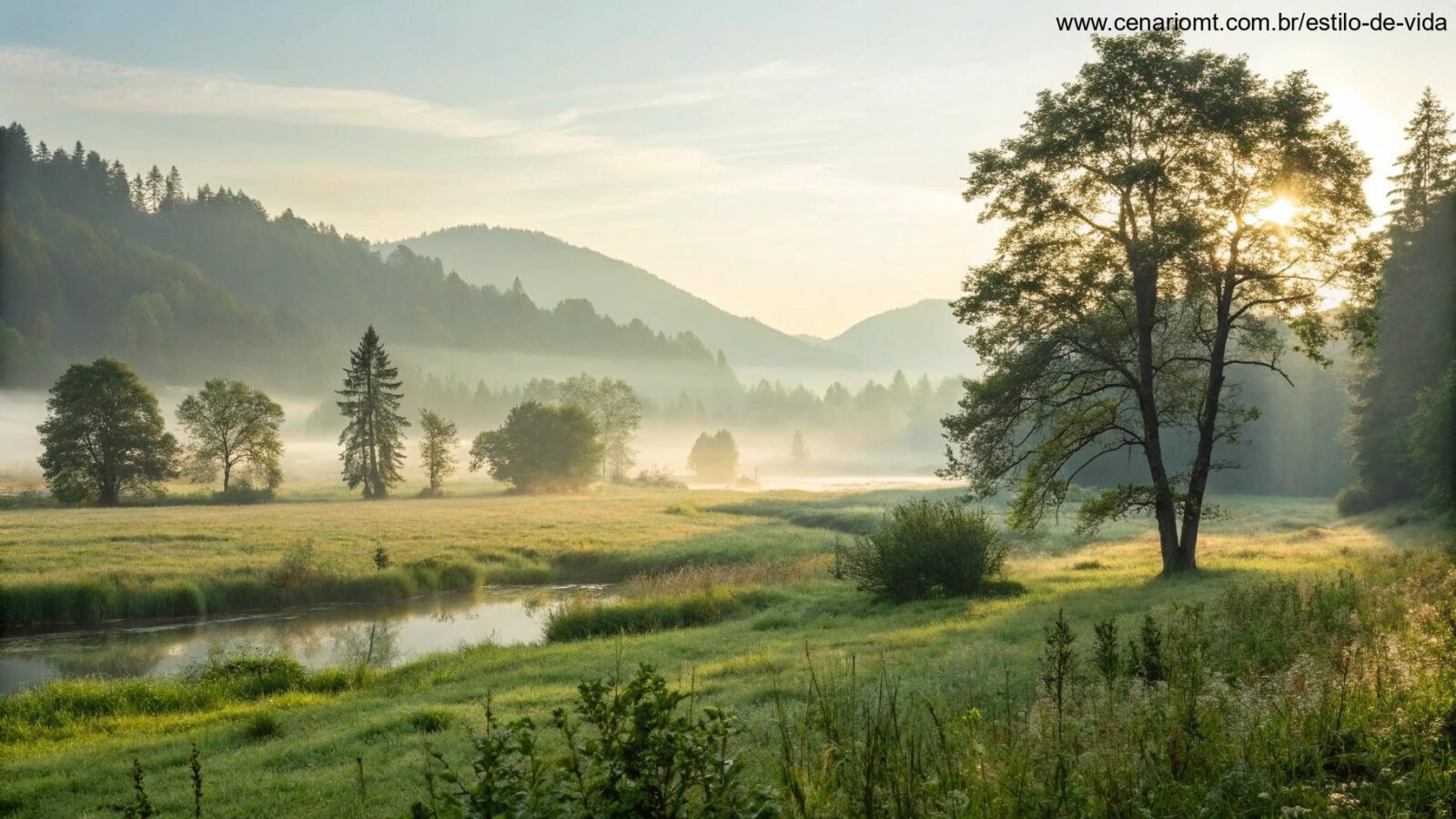Paisagem tranquila com luz suave refletindo o Salmo do Dia para quarta-feira, 12 de março de 2025.