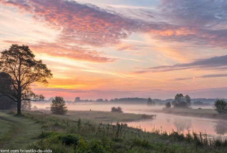 Imagem do Salmo do dia, mostrando um nascer do sol tranquilo em uma paisagem pacífica.