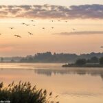 Paisagem tranquila com um suave nascer do sol sobre um lago calmo, aves voando no céu e uma pequena silhueta de cruz ao longe.