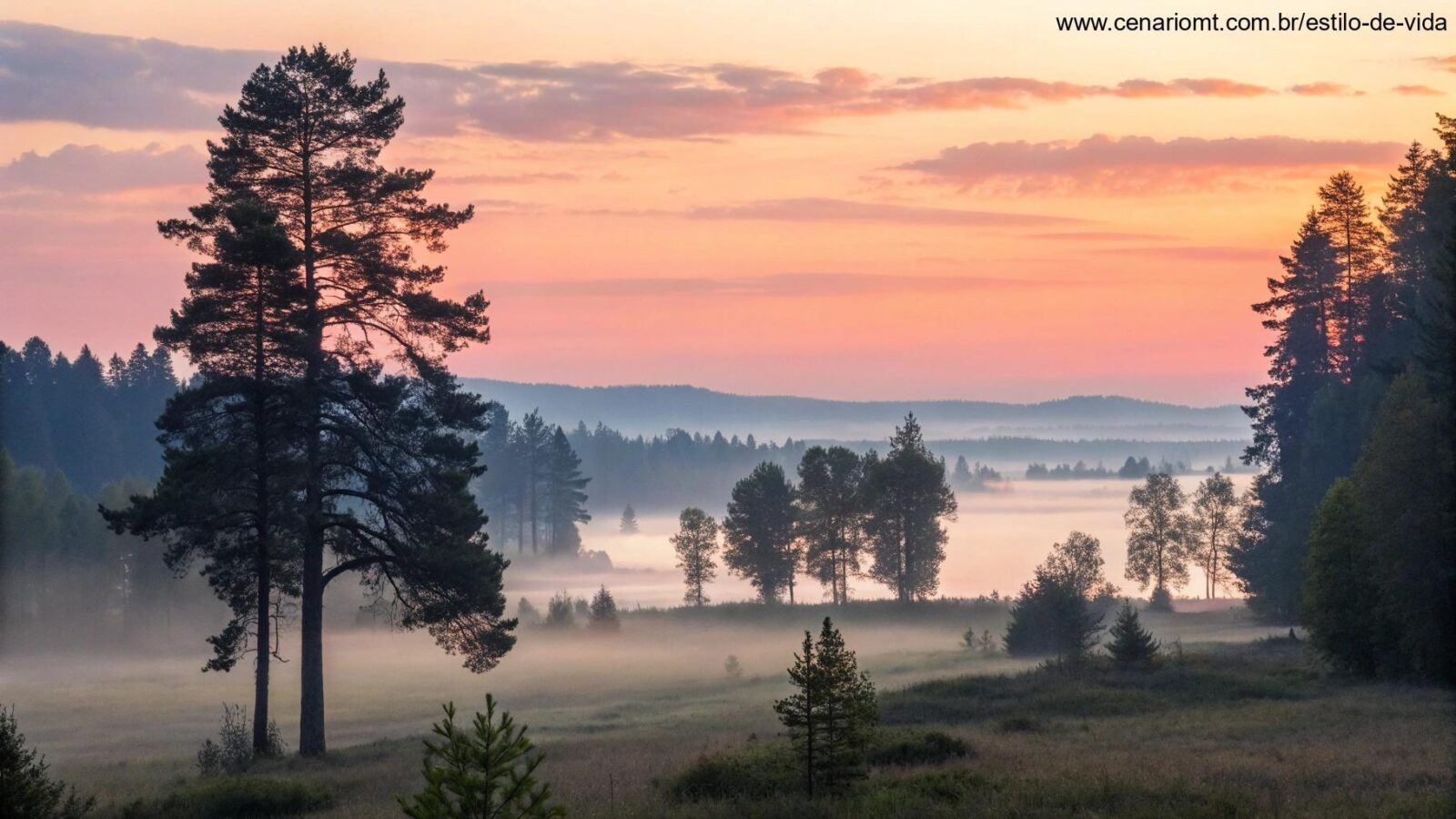 Paisagem tranquila e serena ao amanhecer, com luz suave e quente filtrando pelas árvores, simbolizando calma e reflexão.