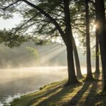 Uma manhã serena com raios de sol filtrando através das árvores, com névoa suave no ar e um rio calmo, simbolizando paz e reflexão.