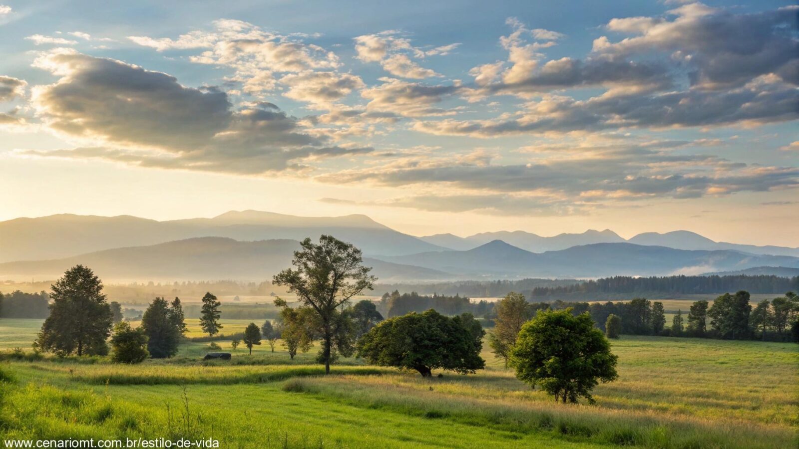 Paisagem rural tranquila com céu matutino e luz suave do sol.
