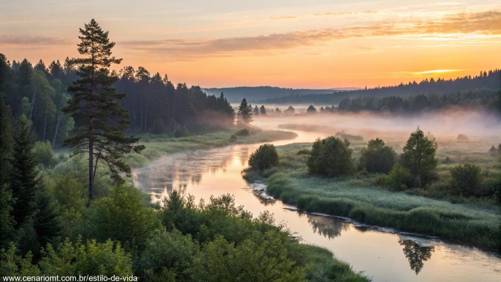 Cenário de um amanhecer tranquilo com um rio fluindo por uma floresta.