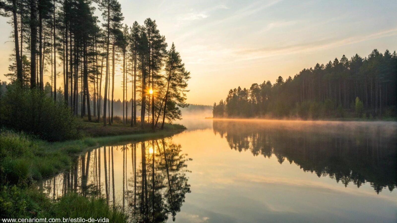Nascer do sol sereno sobre um lago calmo com luz suave filtrando através de árvores altas