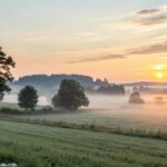 Imagem de uma paisagem tranquila ao amanhecer, com luz suave e uma leve névoa cobrindo um campo calmo.