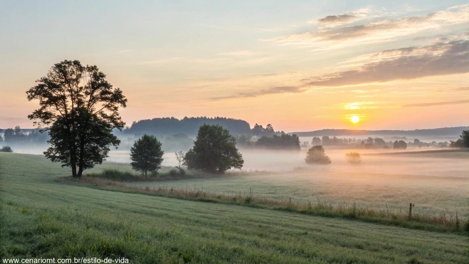 Imagem de uma paisagem tranquila ao amanhecer, com luz suave e uma leve névoa cobrindo um campo calmo.