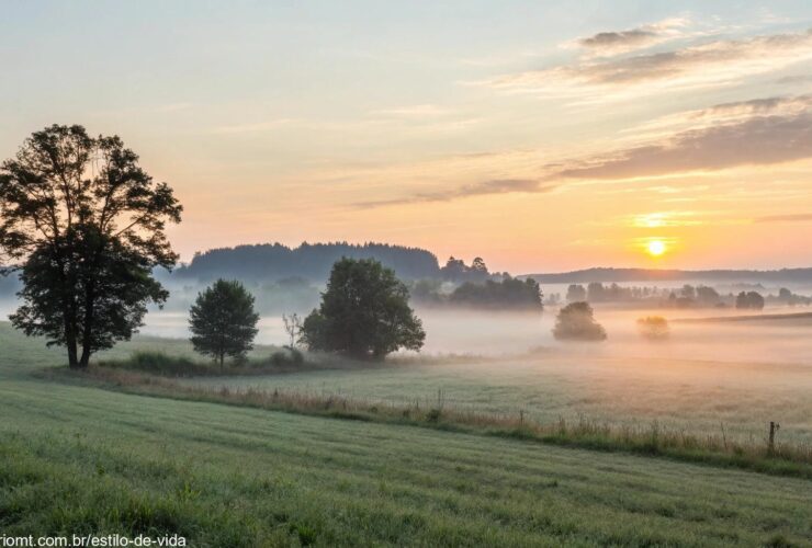 Imagem de uma paisagem tranquila ao amanhecer, com luz suave e uma leve névoa cobrindo um campo calmo.