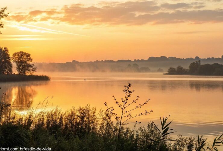 Uma cena serena de um lago tranquilo com o amanhecer suave ao fundo.