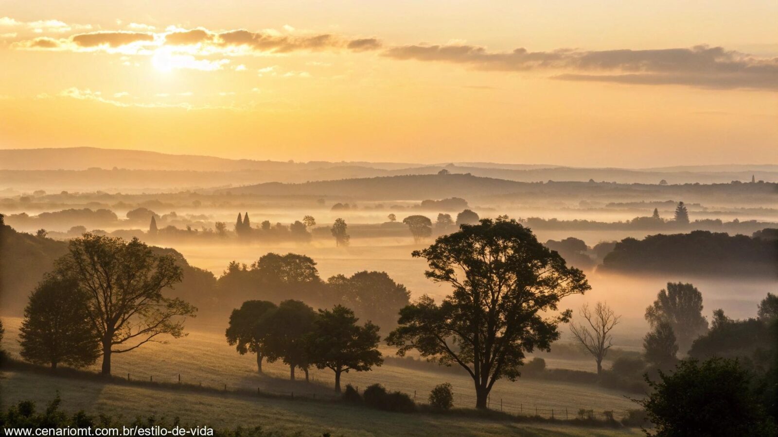 Cenas de um amanhecer sereno com luz dourada suave iluminando o horizonte e árvores escuras ao fundo.