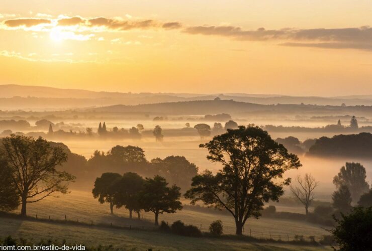 Cenas de um amanhecer sereno com luz dourada suave iluminando o horizonte e árvores escuras ao fundo.