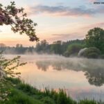 Nascer do sol sereno sobre um lago calmo com névoa suave, cercado por árvores verdes e flores da primavera