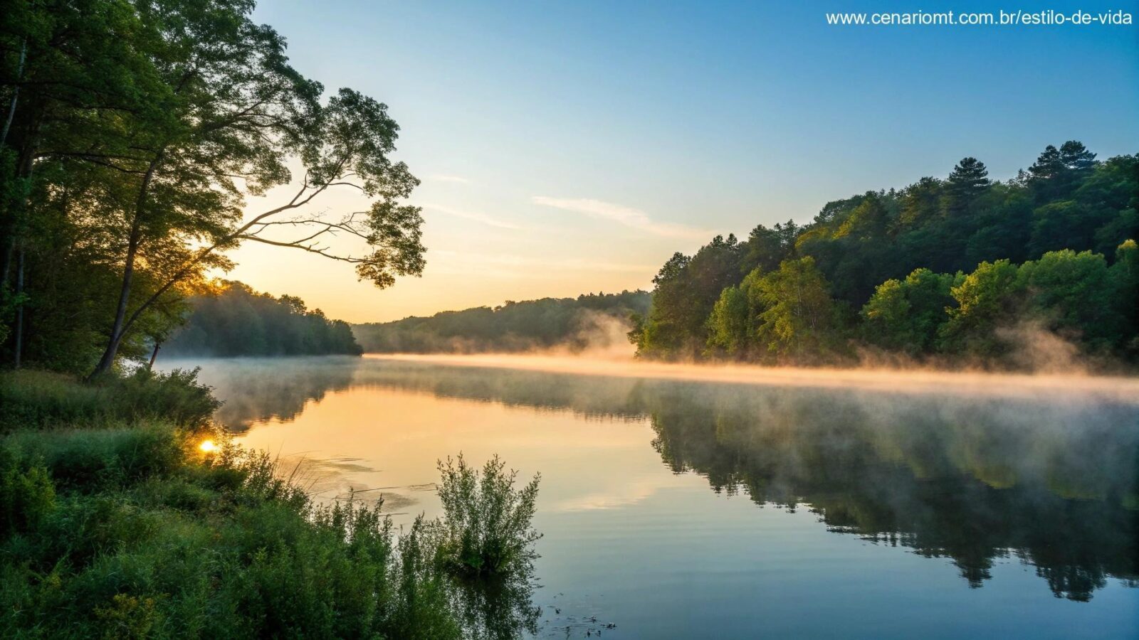 Nascer do sol sereno sobre um lago calmo com névoa subindo, cercado por árvores verdes exuberantes e um céu azul limpo