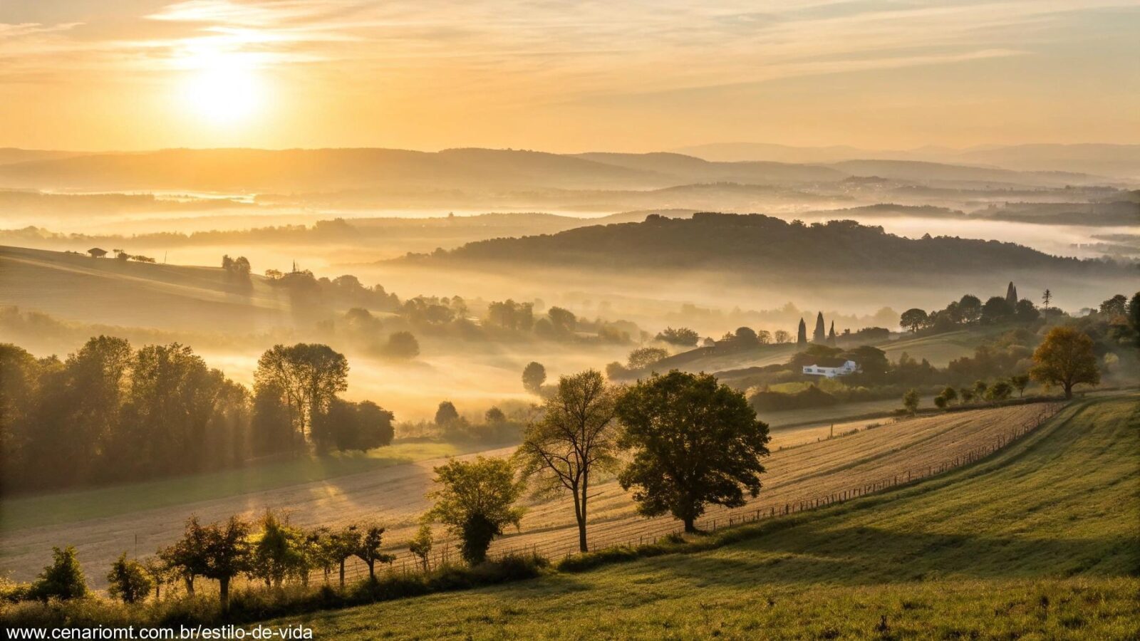 Amanhecer sereno com luz dourada em uma paisagem rural, representando fé e gratidão nesta quarta-feira