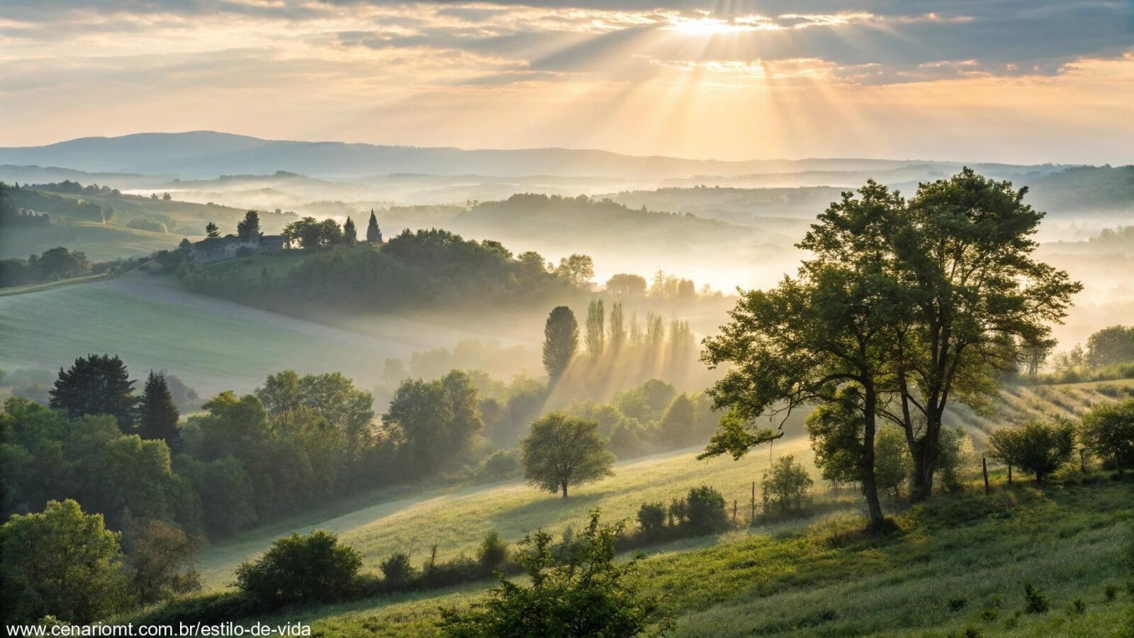 Nascer do sol tranquilo em meio à natureza para começar a quarta-feira com fé