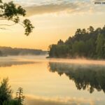 Nascer do sol tranquilo sobre um lago calmo com névoa subindo suavemente, cercado por árvores verdes e uma luz dourada suave se espalhando pelo horizonte