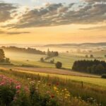 Amanhecer tranquilo em uma paisagem rural simbolizando esperança e paz no coração
