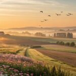 Imagem de uma manhã de sexta-feira com paisagem campestre iluminada pelo sol e flores desabrochando