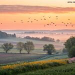 amanhecer tranquilo no campo em uma terça-feira inspiradora