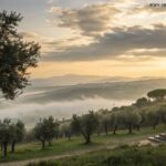 Paisagem serena ao amanhecer com uma cruz dourada brilhando suavemente no meio de oliveiras