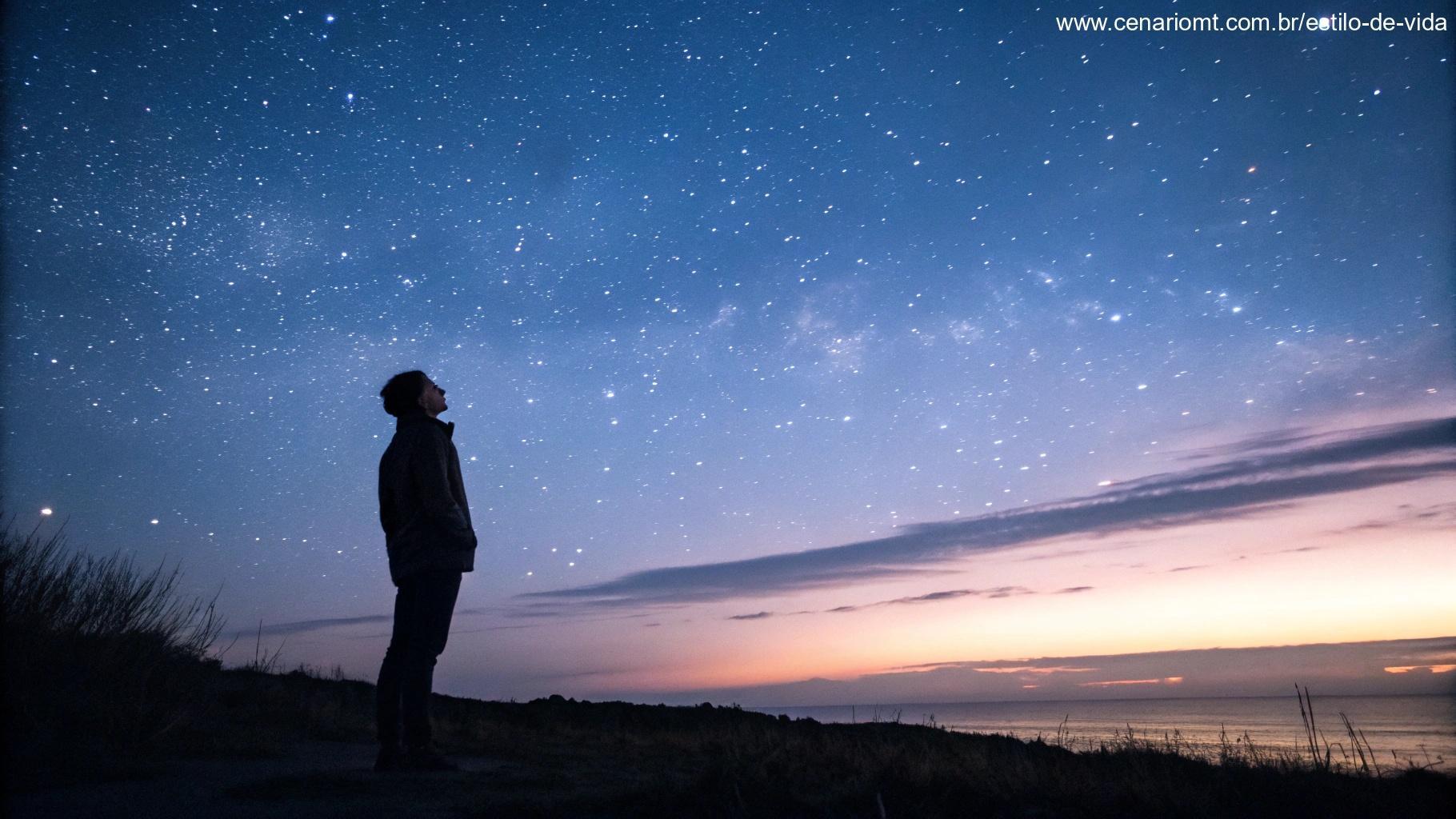 Pessoa observando o horizonte ao anoitecer