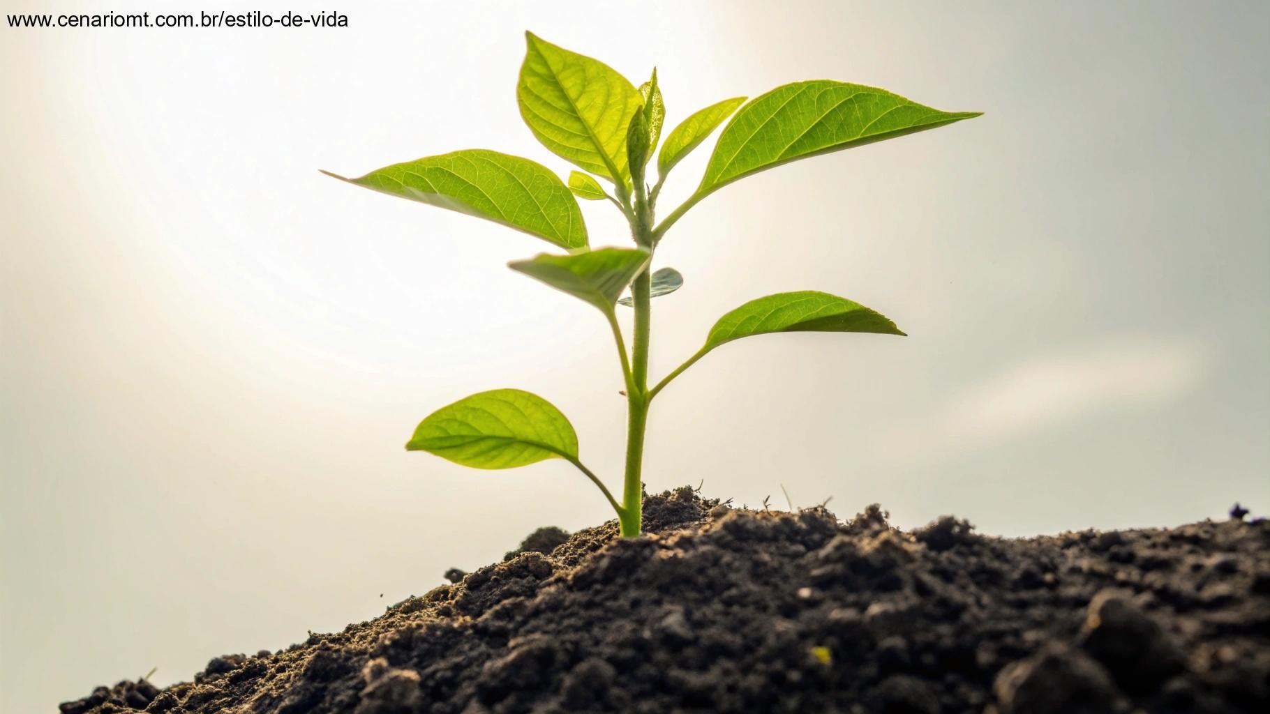 Imagem de uma planta crescendo em direção ao céu, simbolizando crescimento, renovação e a promessa de uma ótima semana.