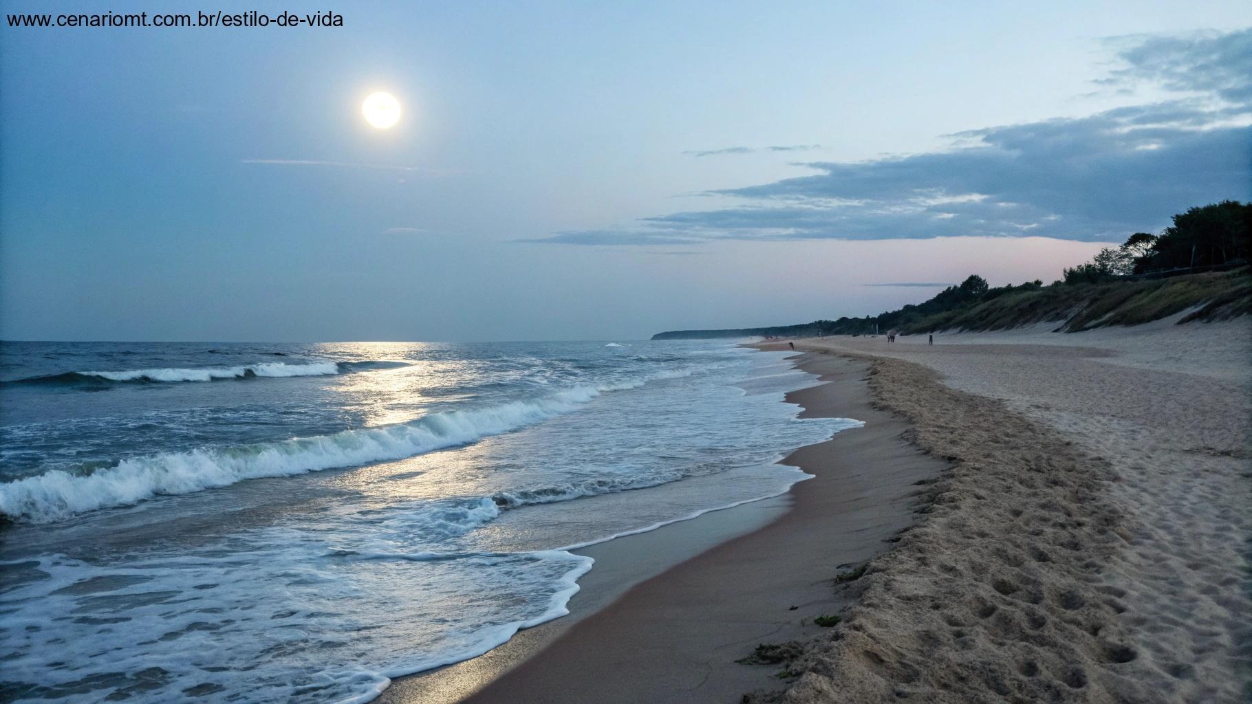 Cena tranquila de uma praia com ondas suaves sob um céu iluminado pela lua
