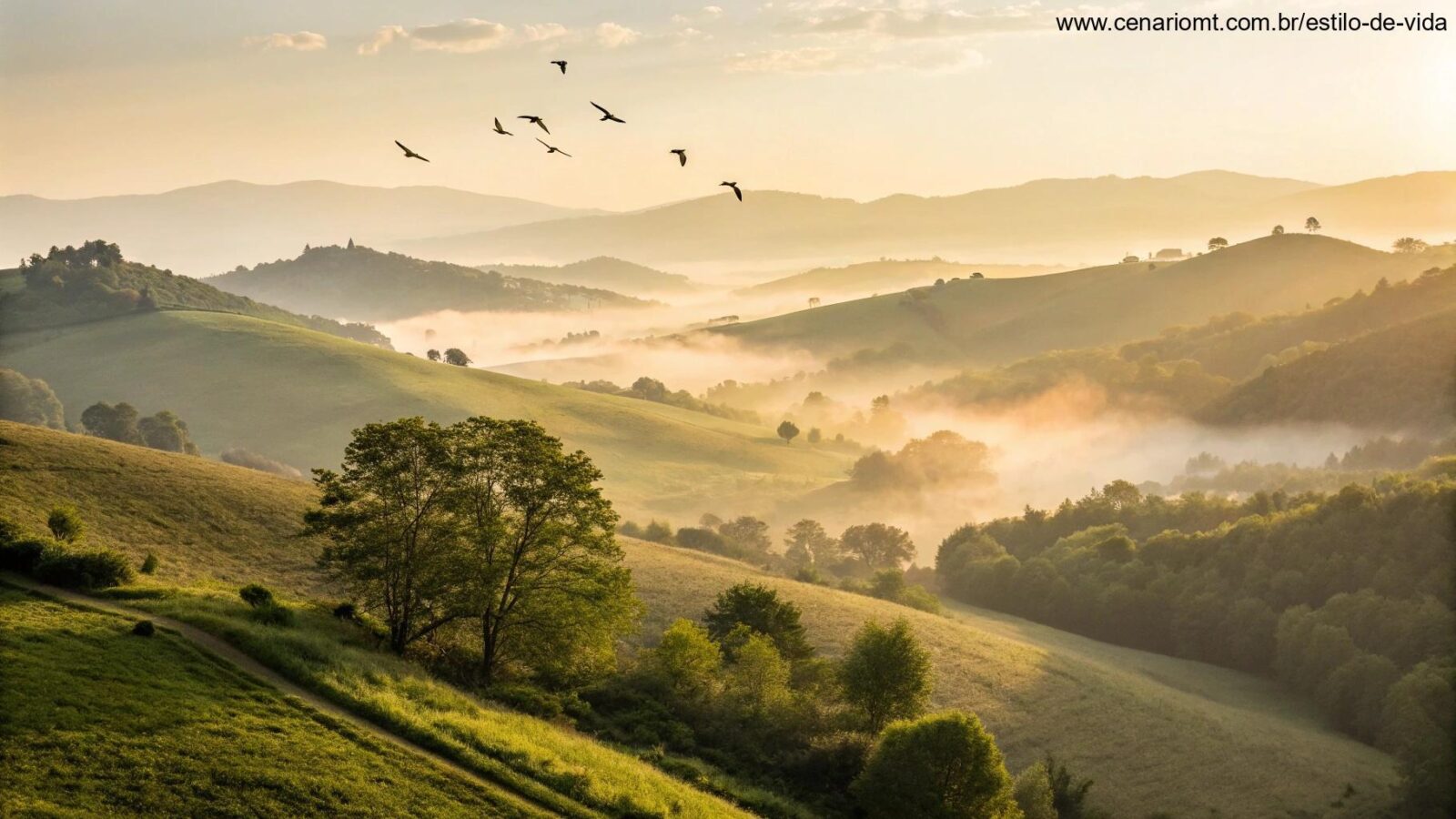 Paisagem de manhã tranquila com luz dourada representando fé, esperança e luz