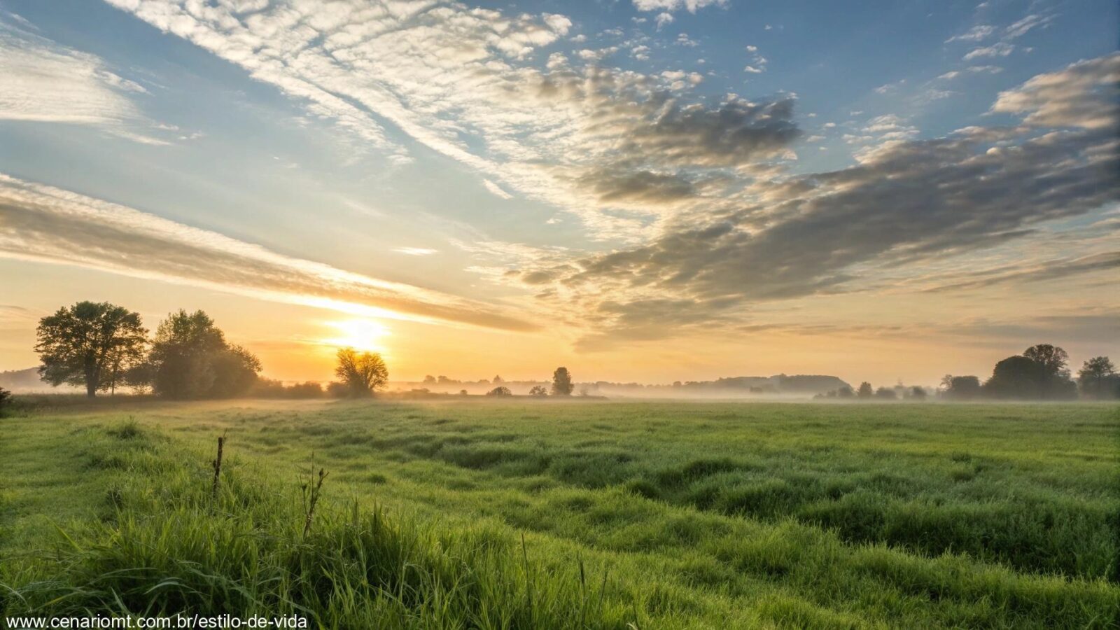 Imagem de um amanhecer tranquilo sobre um campo calmo, com luz suave filtrando pela grama verde e nuvens gentis no céu, simbolizando uma manhã abençoada e pacífica.